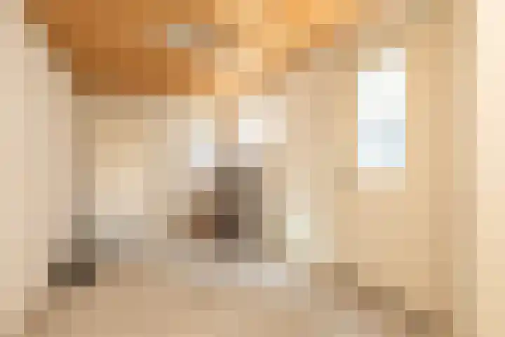 Hoogend 28 A Sneek thumbnail 29