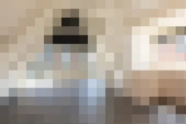 Hoogend 28 A Sneek thumbnail 4