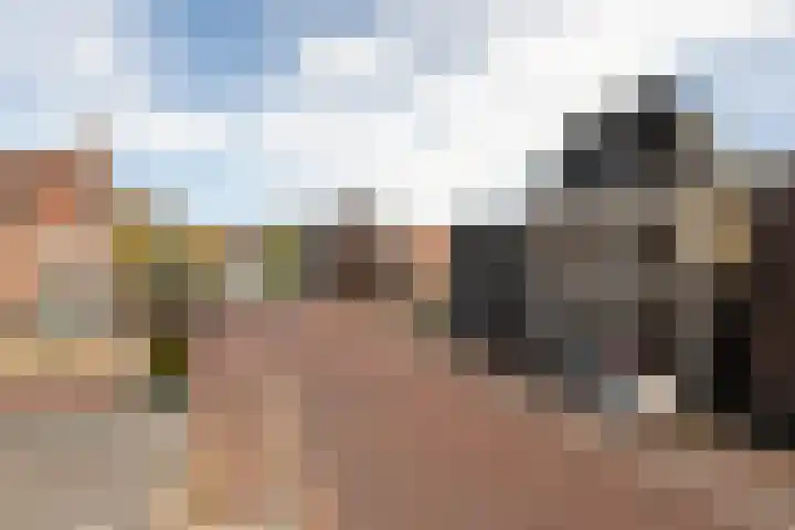 Hoogend 28 A Sneek thumbnail 45