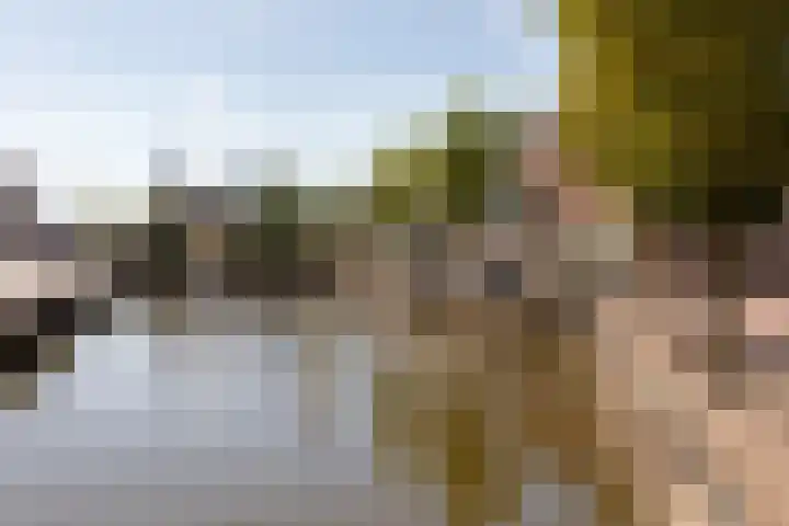 Hoogend 28 A Sneek thumbnail 47