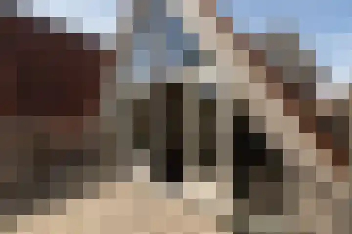 Hoogend 28 A Sneek thumbnail 6