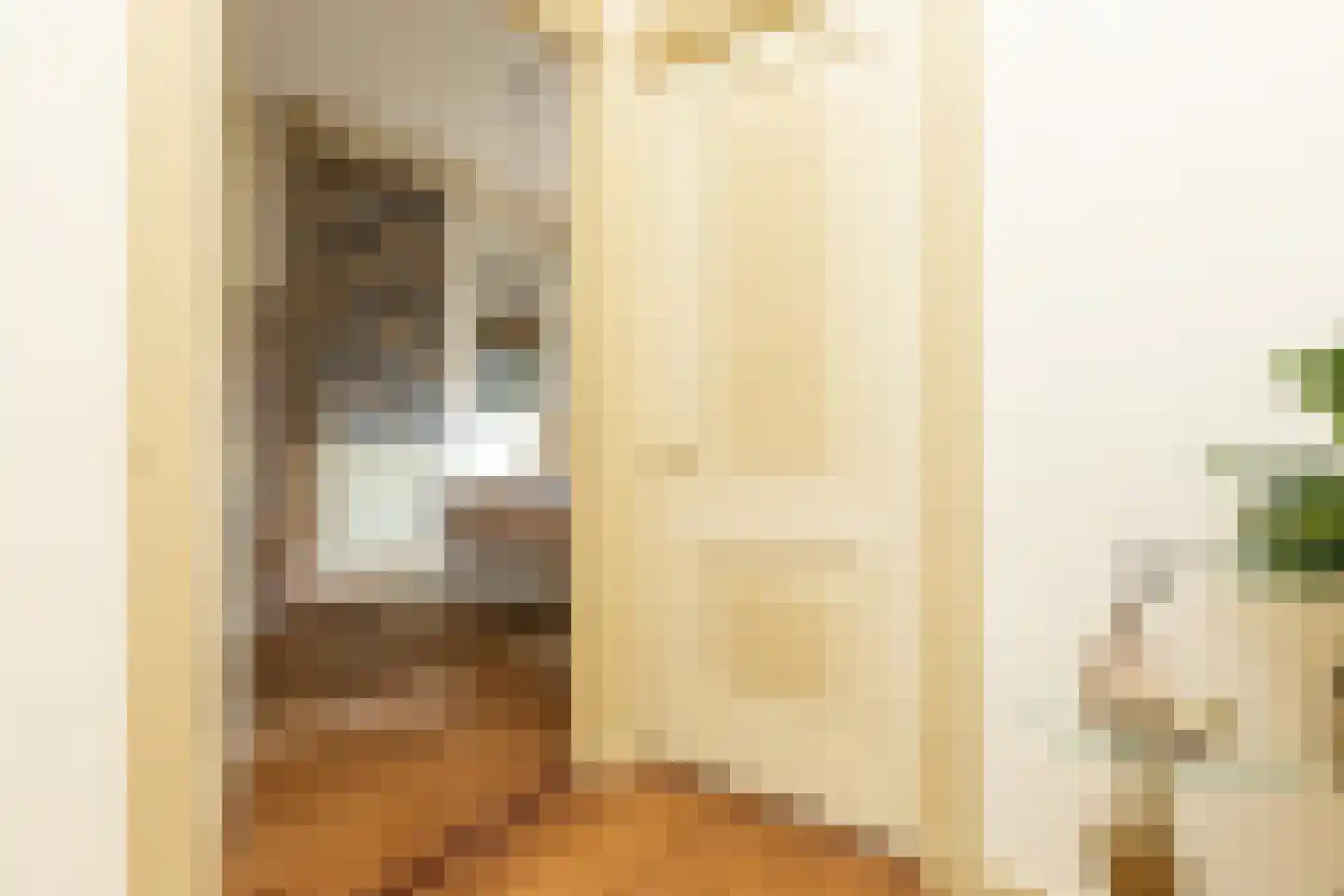 Hoogend 4 Sneek thumbnail 27