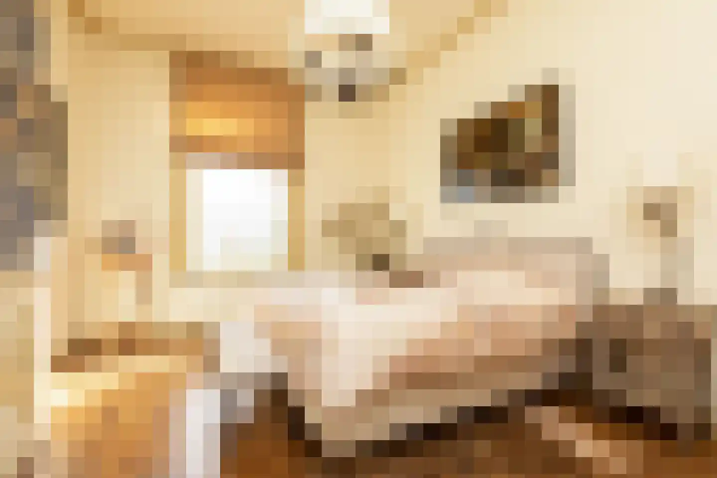 Hoogend 4 Sneek thumbnail 29