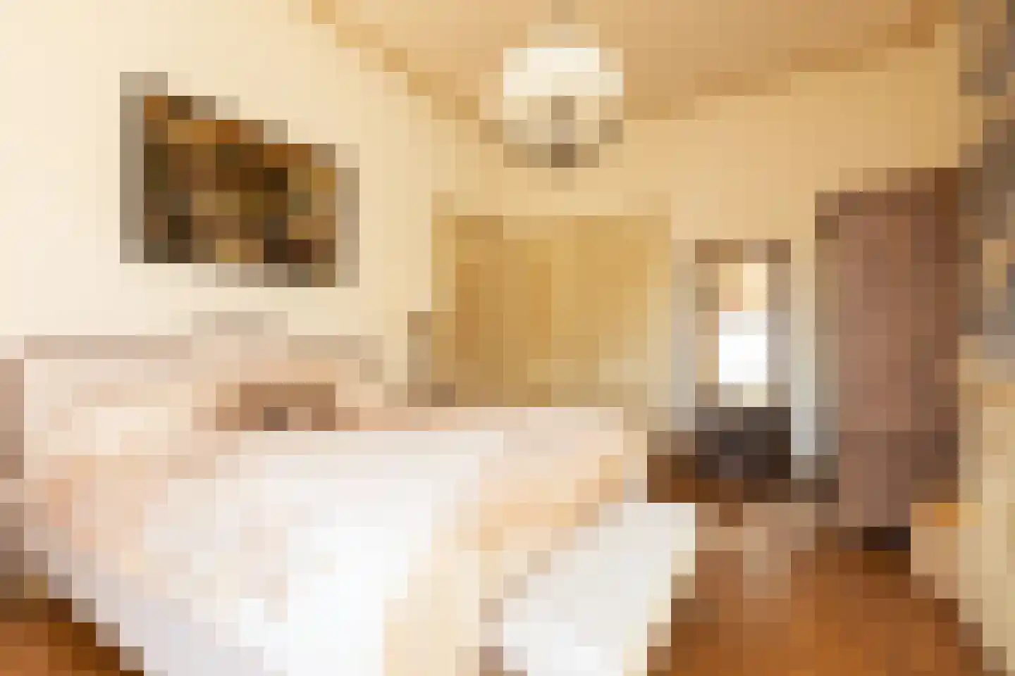 Hoogend 4 Sneek thumbnail 30