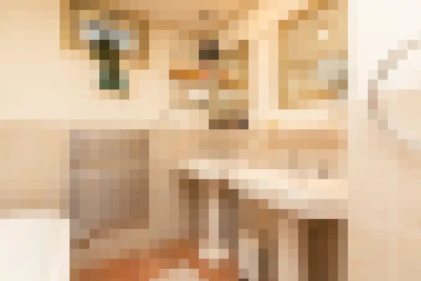 Hoogend 4 Sneek thumbnail 33