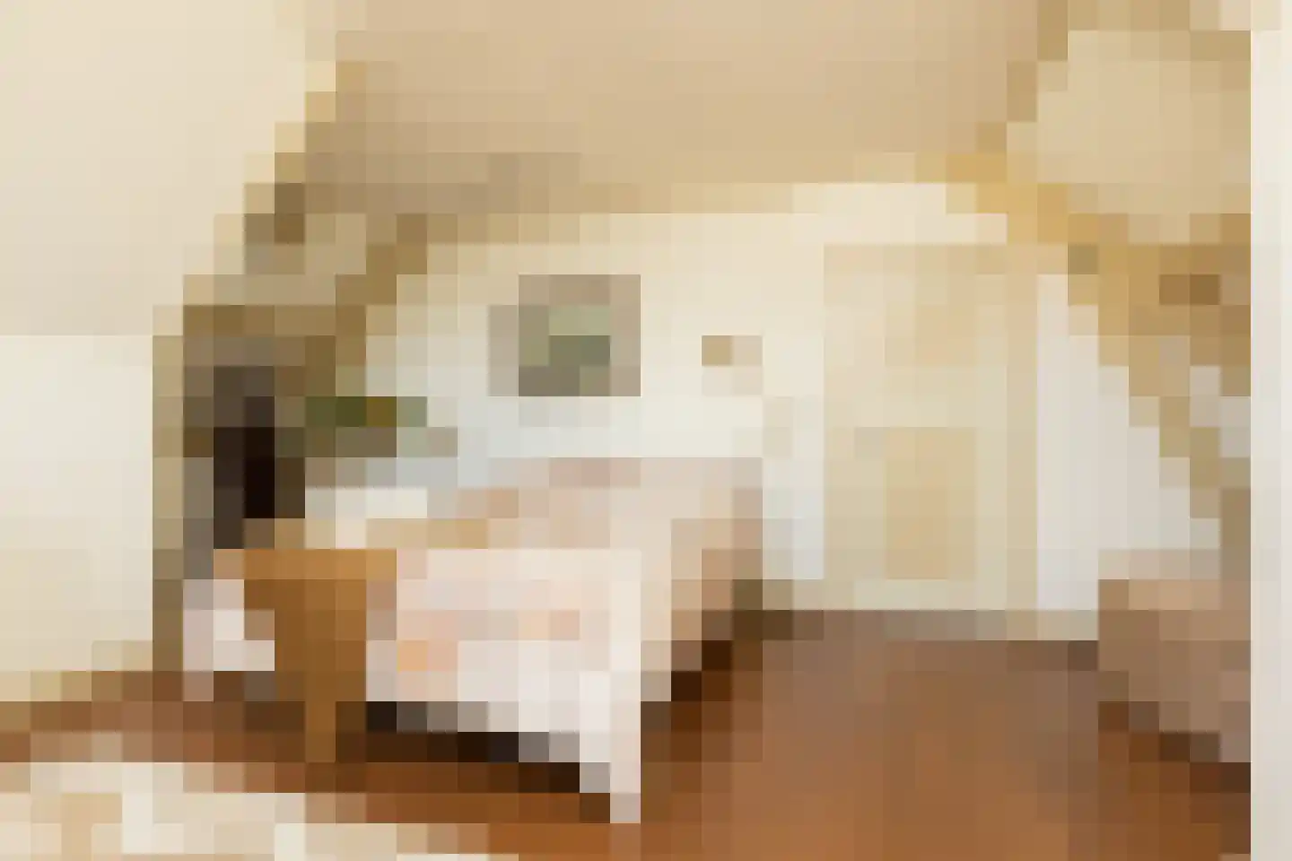 Hoogend 4 Sneek thumbnail 47