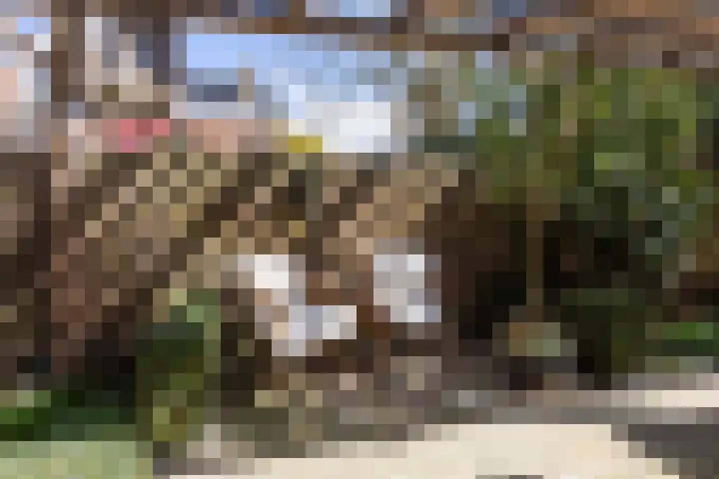 Hoogend 4 Sneek thumbnail 63