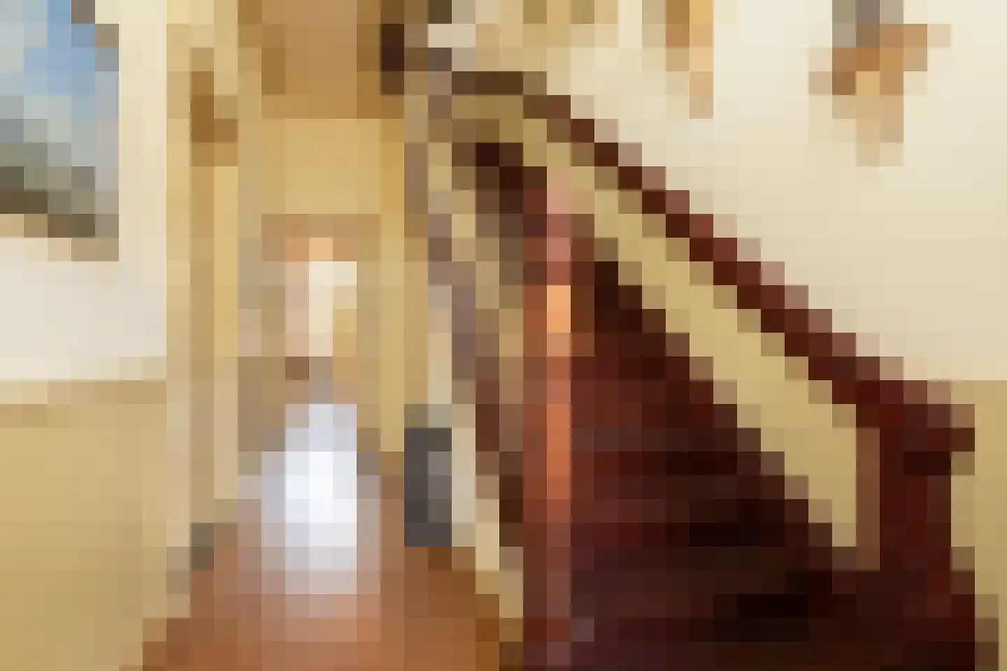 Hoogend 4 Sneek thumbnail 7