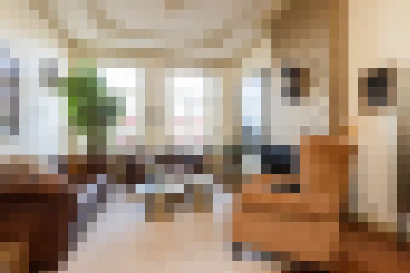 Hoogend 4 Sneek thumbnail 9