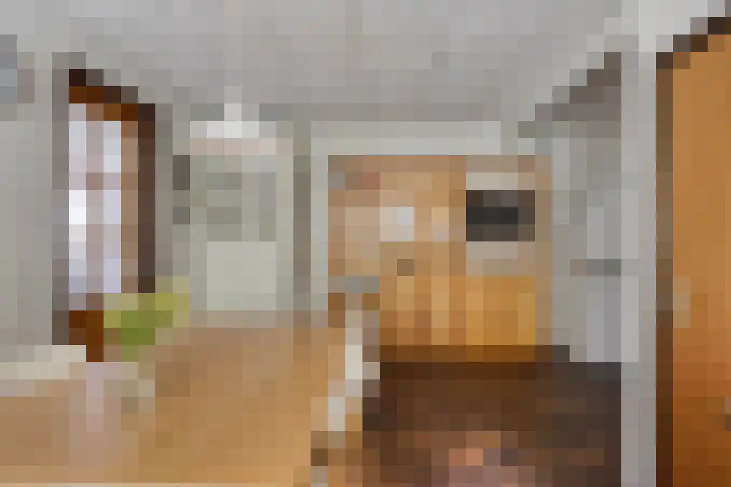 Hoogendijk 5 Boxmeer thumbnail 12