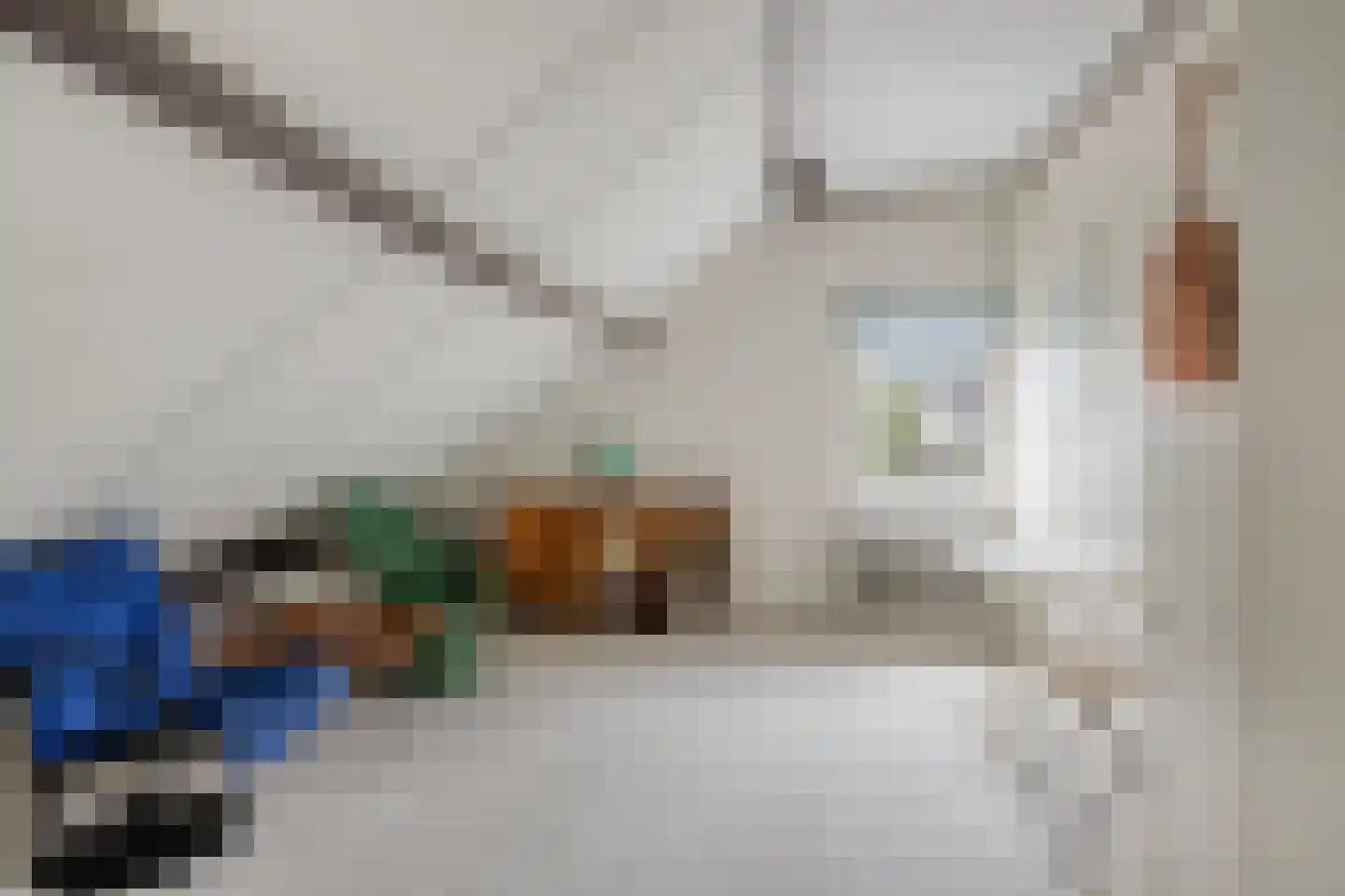 Hoogendijk 5 Boxmeer thumbnail 20