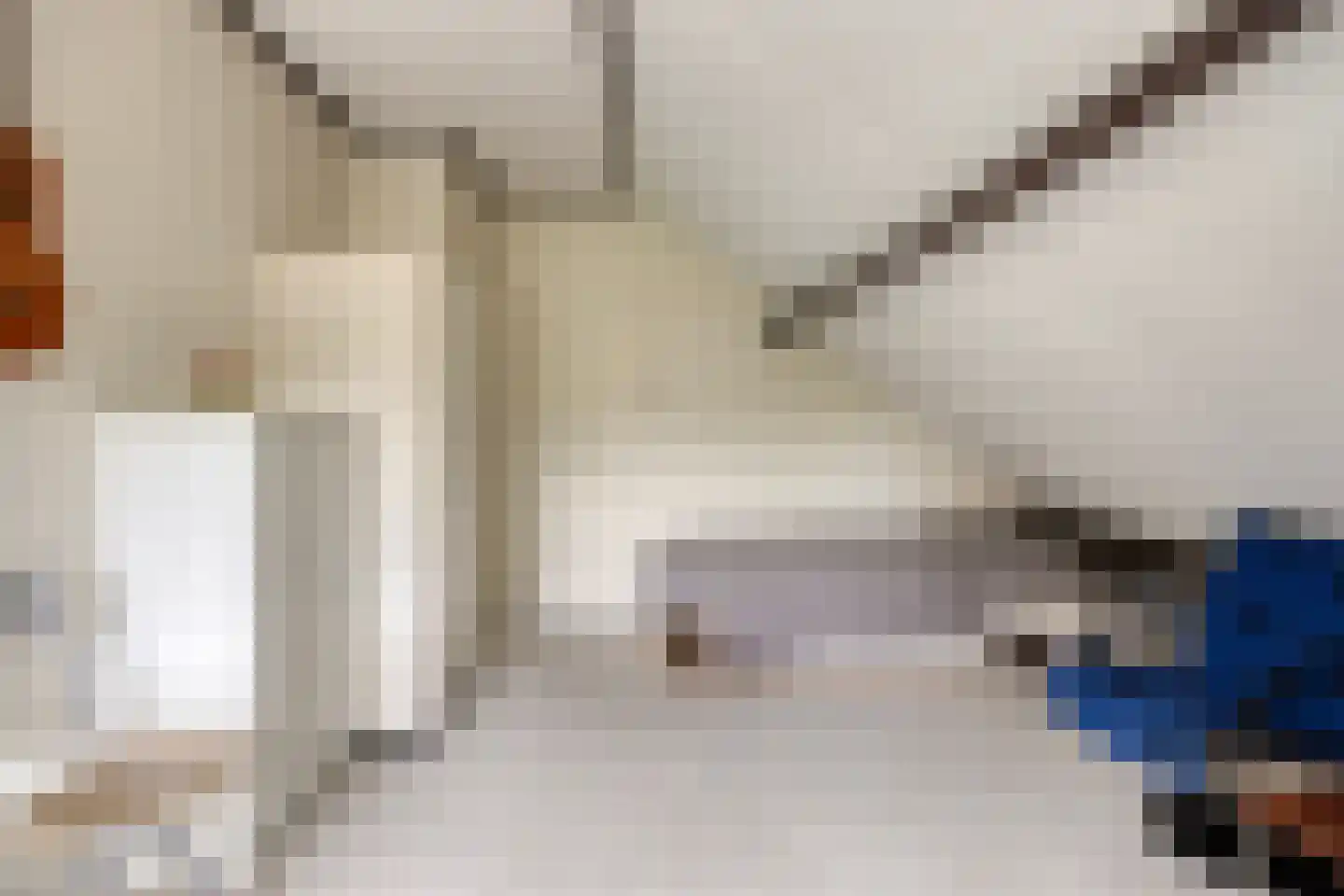 Hoogendijk 5 Boxmeer thumbnail 21