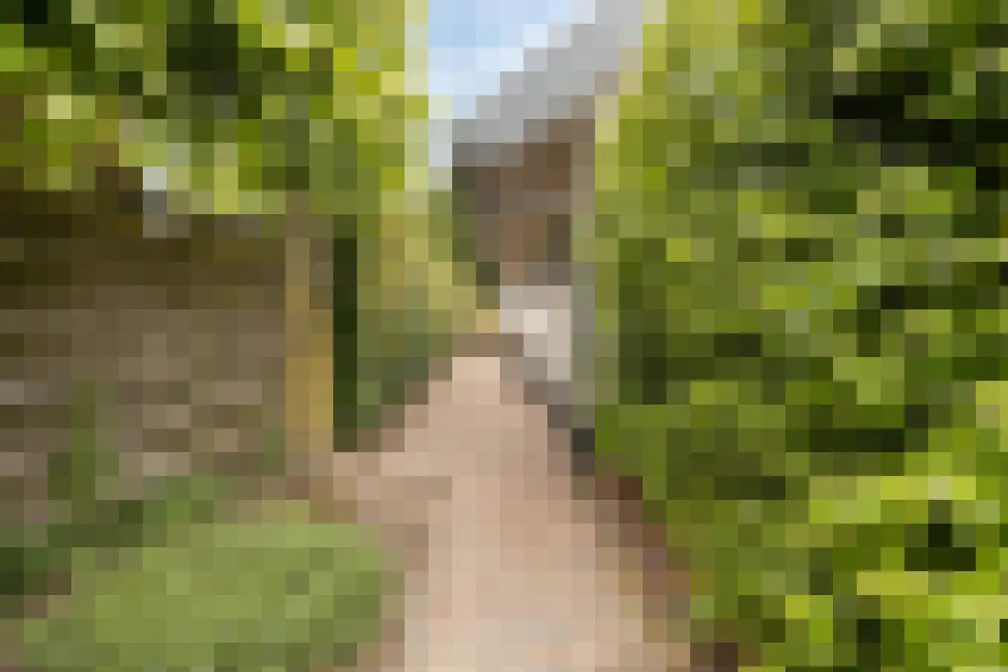 Hoogendijk 5 Boxmeer thumbnail 31