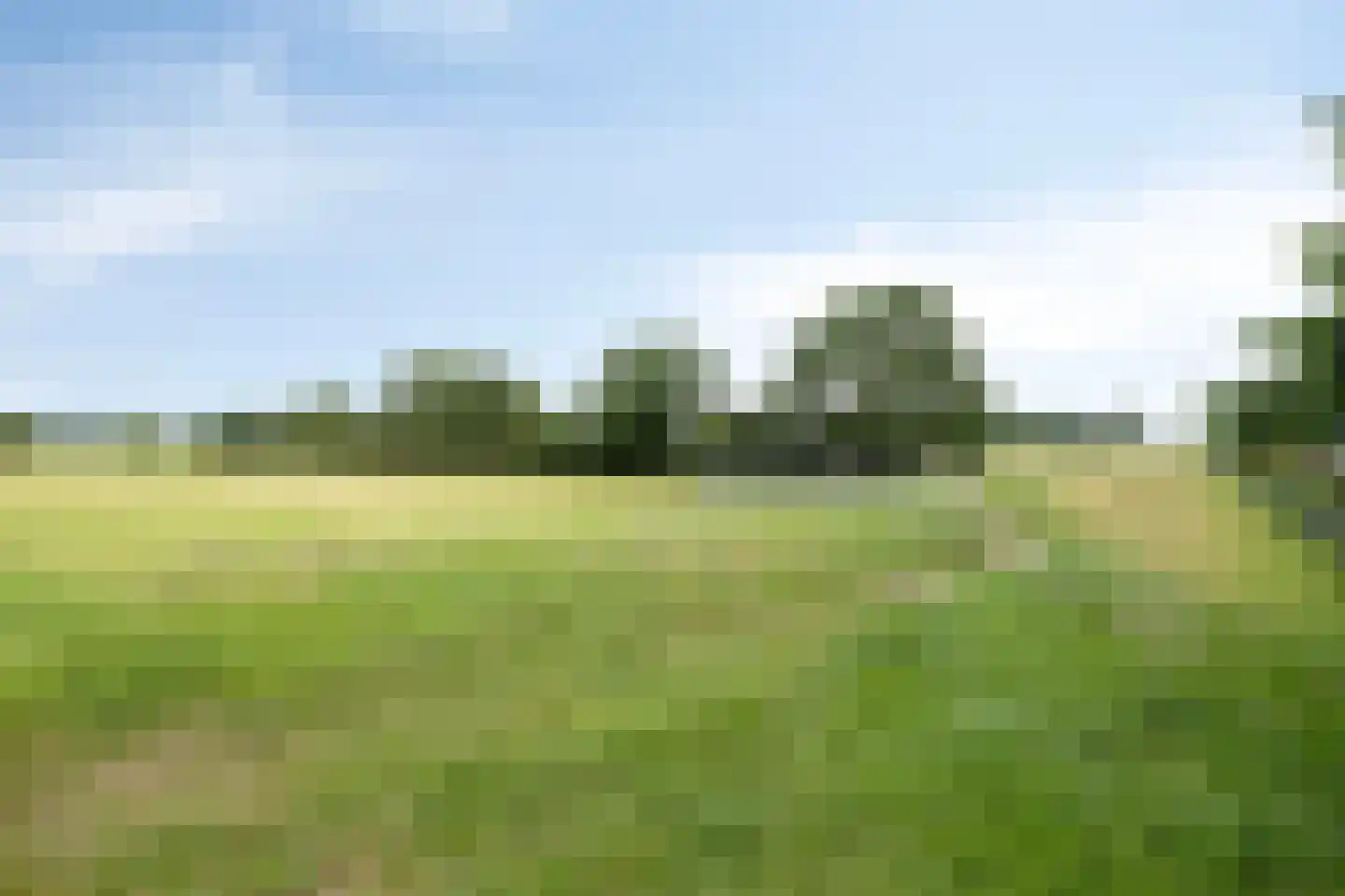 Hoogendijk 5 Boxmeer thumbnail 32
