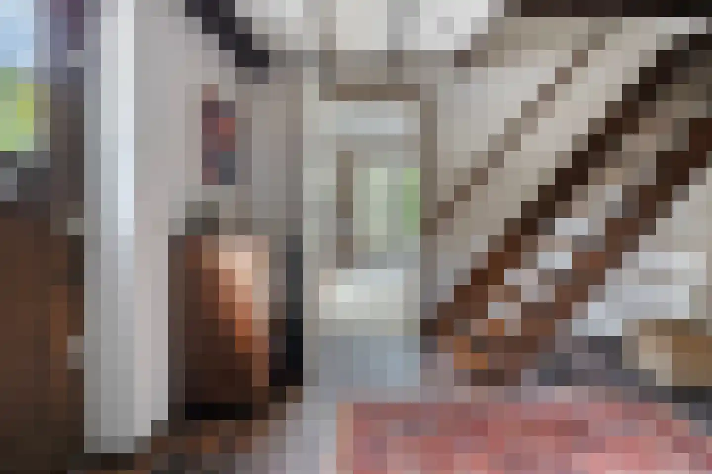 Hoogendijk 5 Boxmeer thumbnail 4