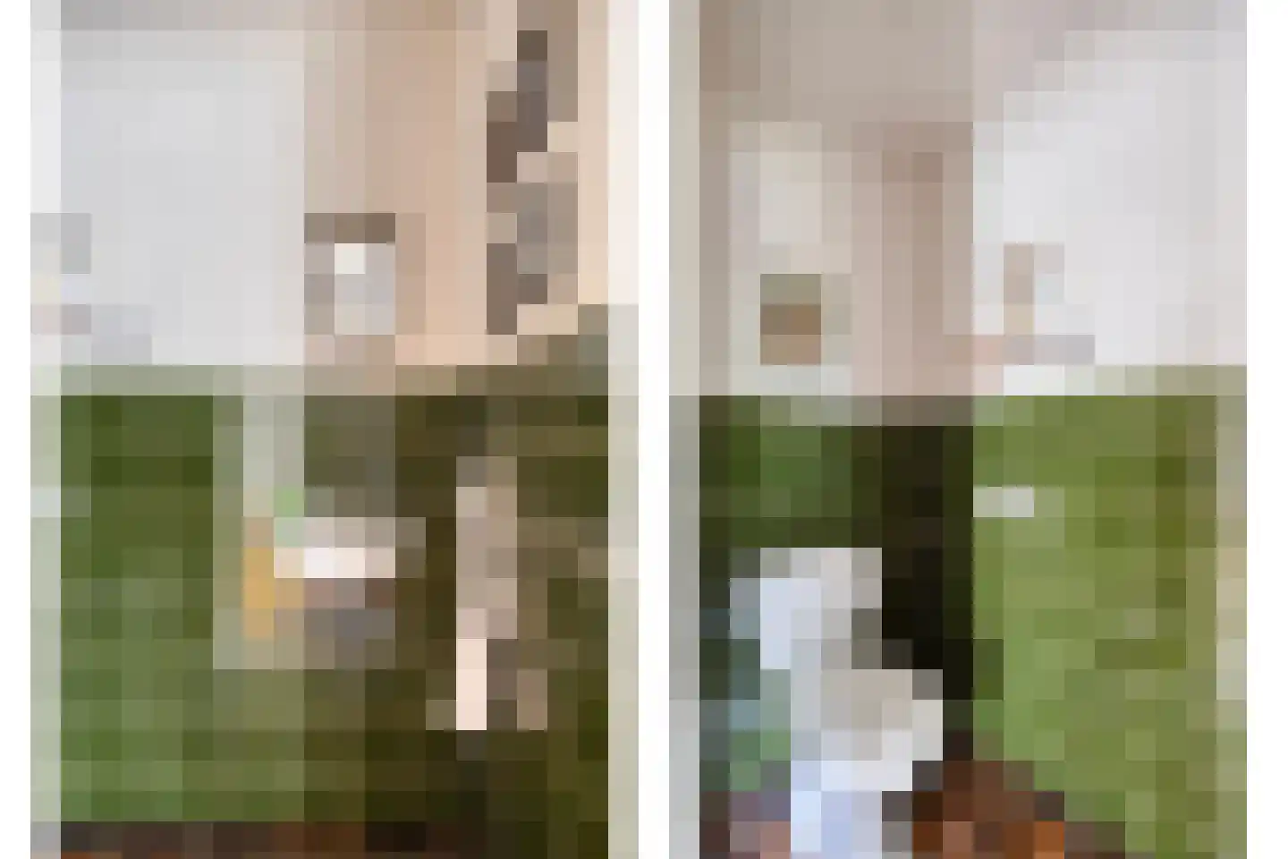 Hoogendijk 5 Boxmeer thumbnail 5