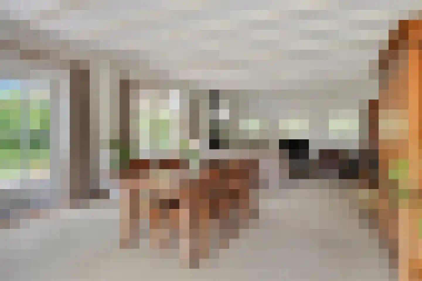 Hoogendijk 5 Boxmeer thumbnail 6