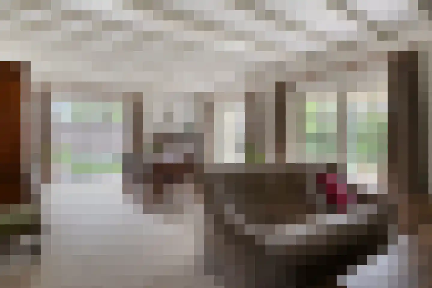 Hoogendijk 5 Boxmeer thumbnail 8