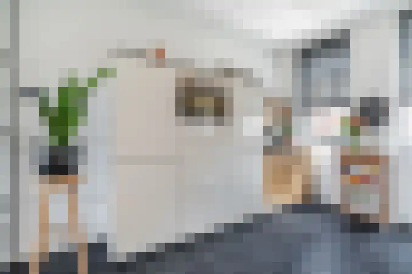 Hoogendijkstraat 17 Tiel thumbnail 15