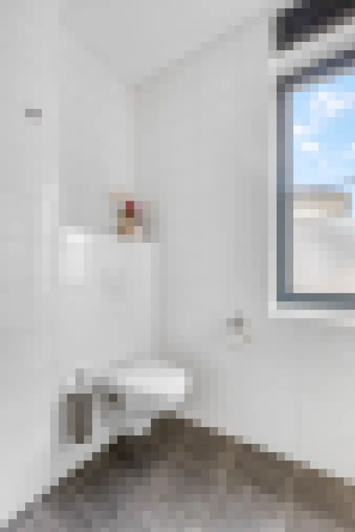 Hoogendijkstraat 23 Tiel thumbnail 15