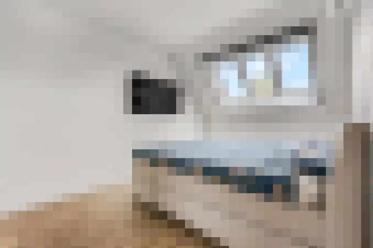 Hoogendijkstraat 23 Tiel thumbnail 22