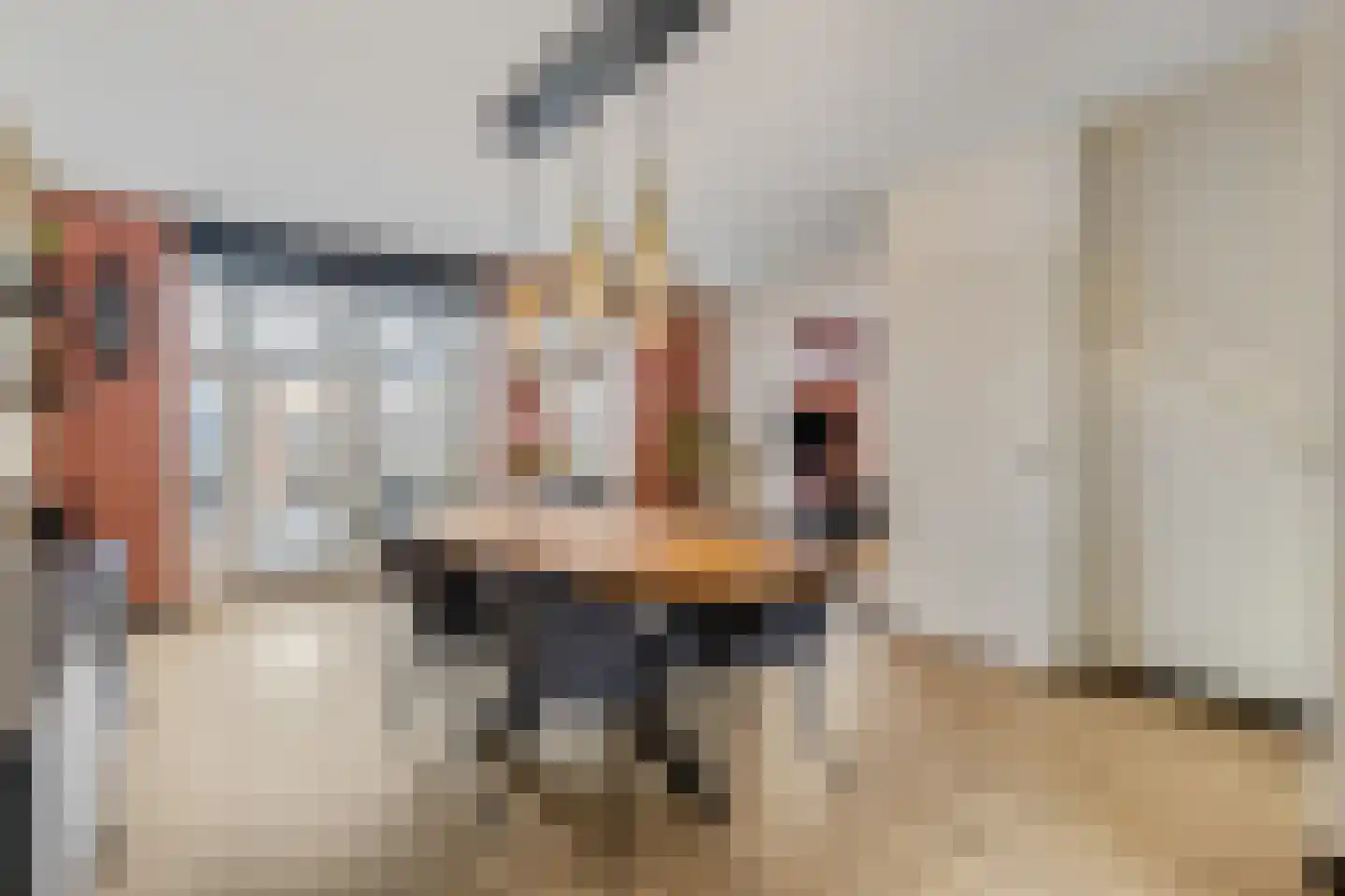 Hoogendijkstraat 23 Tiel thumbnail 26