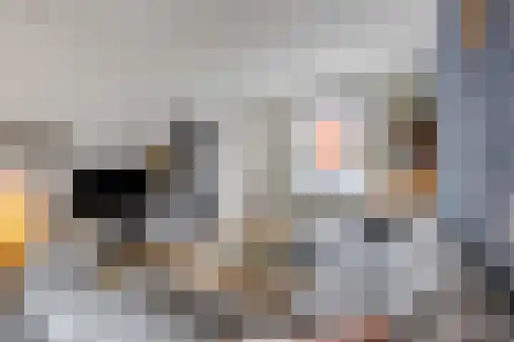 Hoogendijkstraat 34 Tiel thumbnail 7