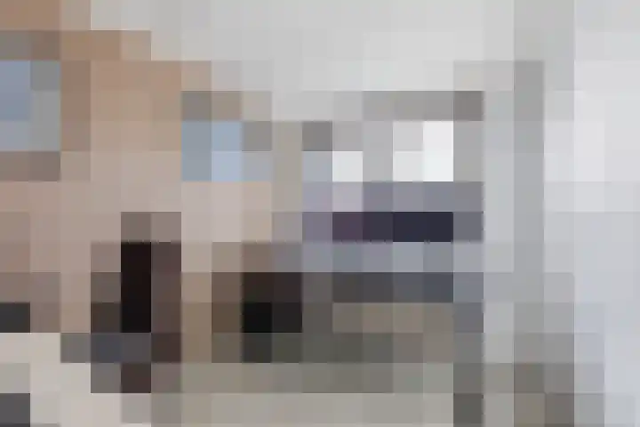 Hoogendijkstraat 36 Tiel thumbnail 21