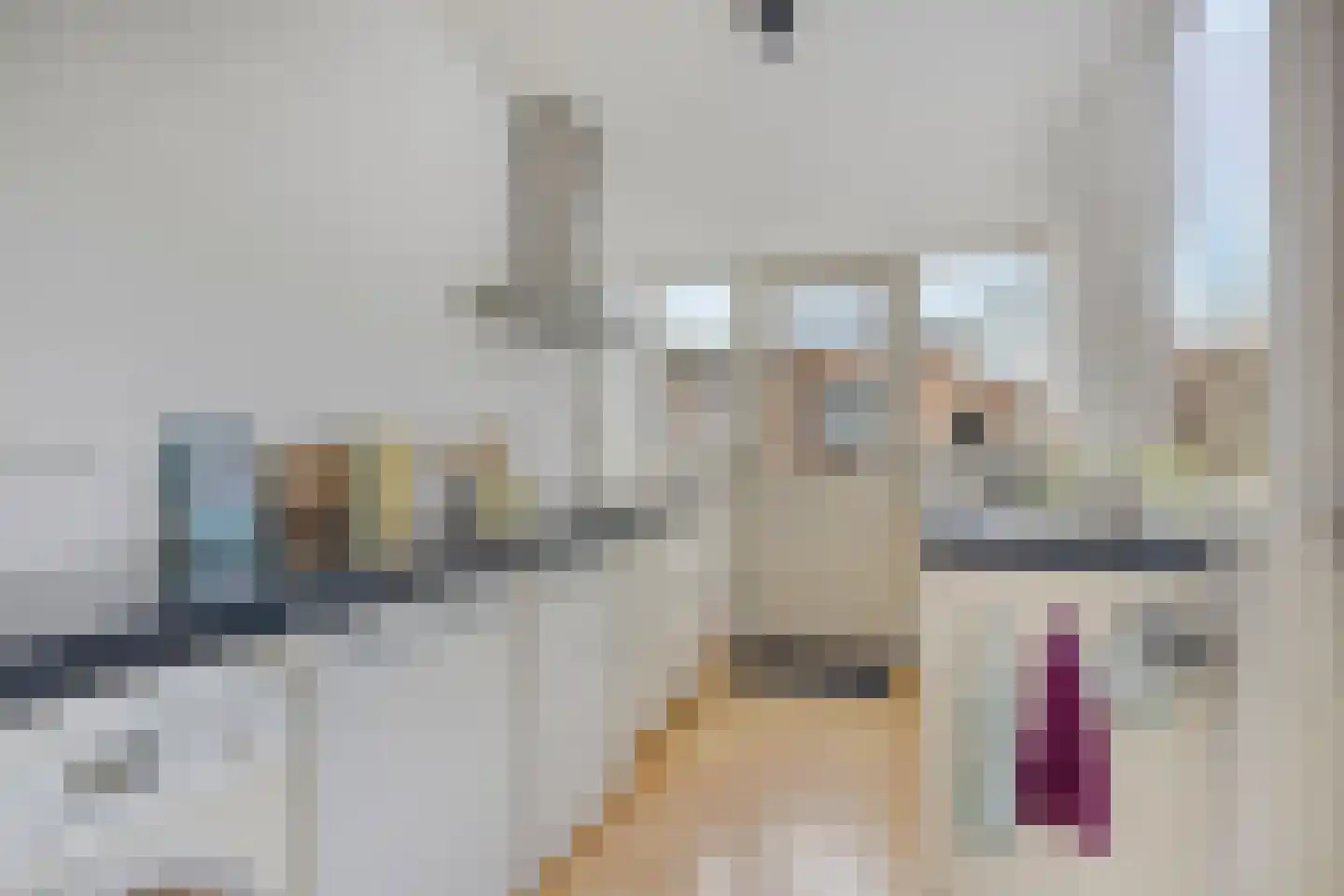 Hoogendijkstraat 4 Tiel thumbnail 8
