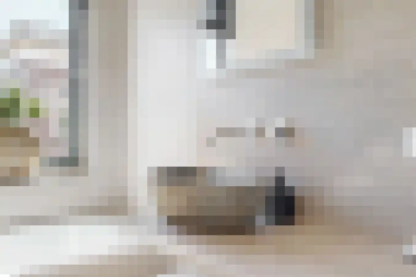 Hoogendijkstraat 9 Tiel thumbnail 14