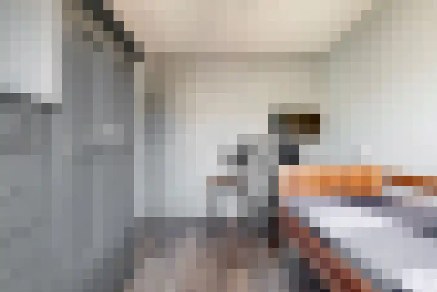 Hoogendijkstraat 9 Tiel thumbnail 18
