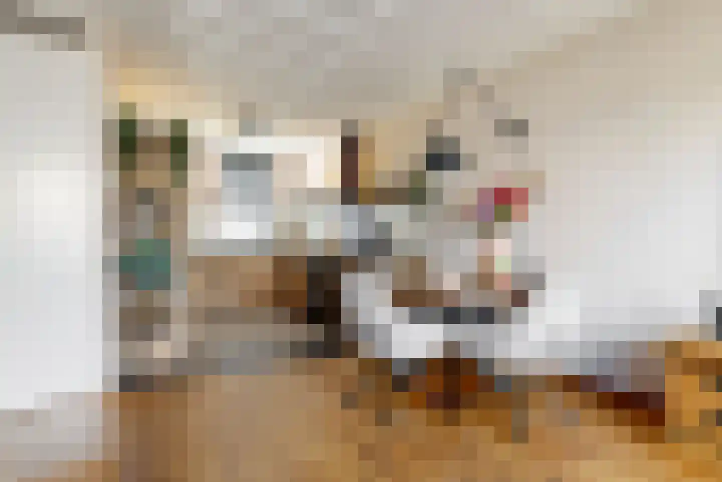 Hoogendijkstraat 9 Tiel thumbnail 5