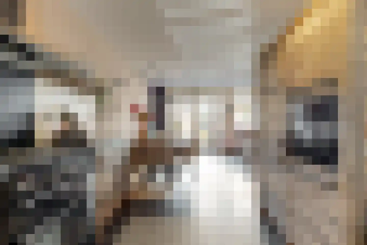 Hoogendijkstraat 9 Tiel thumbnail 8
