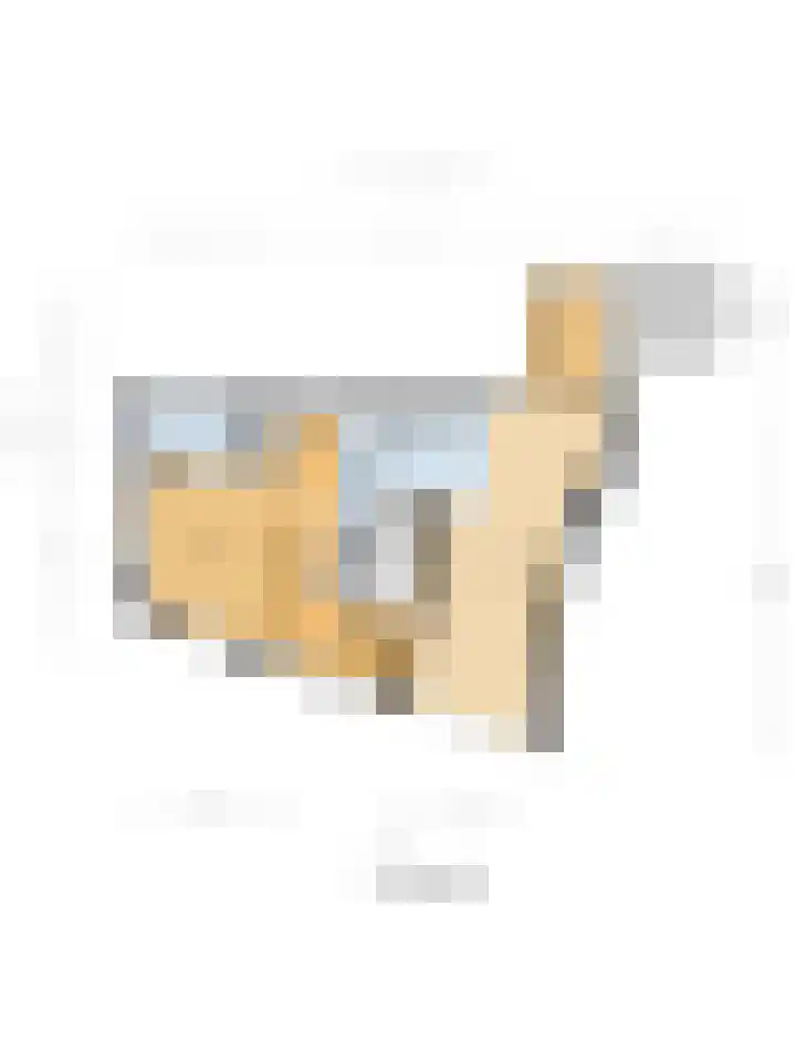 Hoogenhoek 1 a Leerdam thumbnail 36