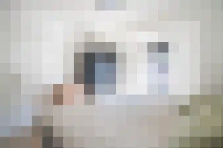 Hoogenhoek 1 a Leerdam thumbnail 5