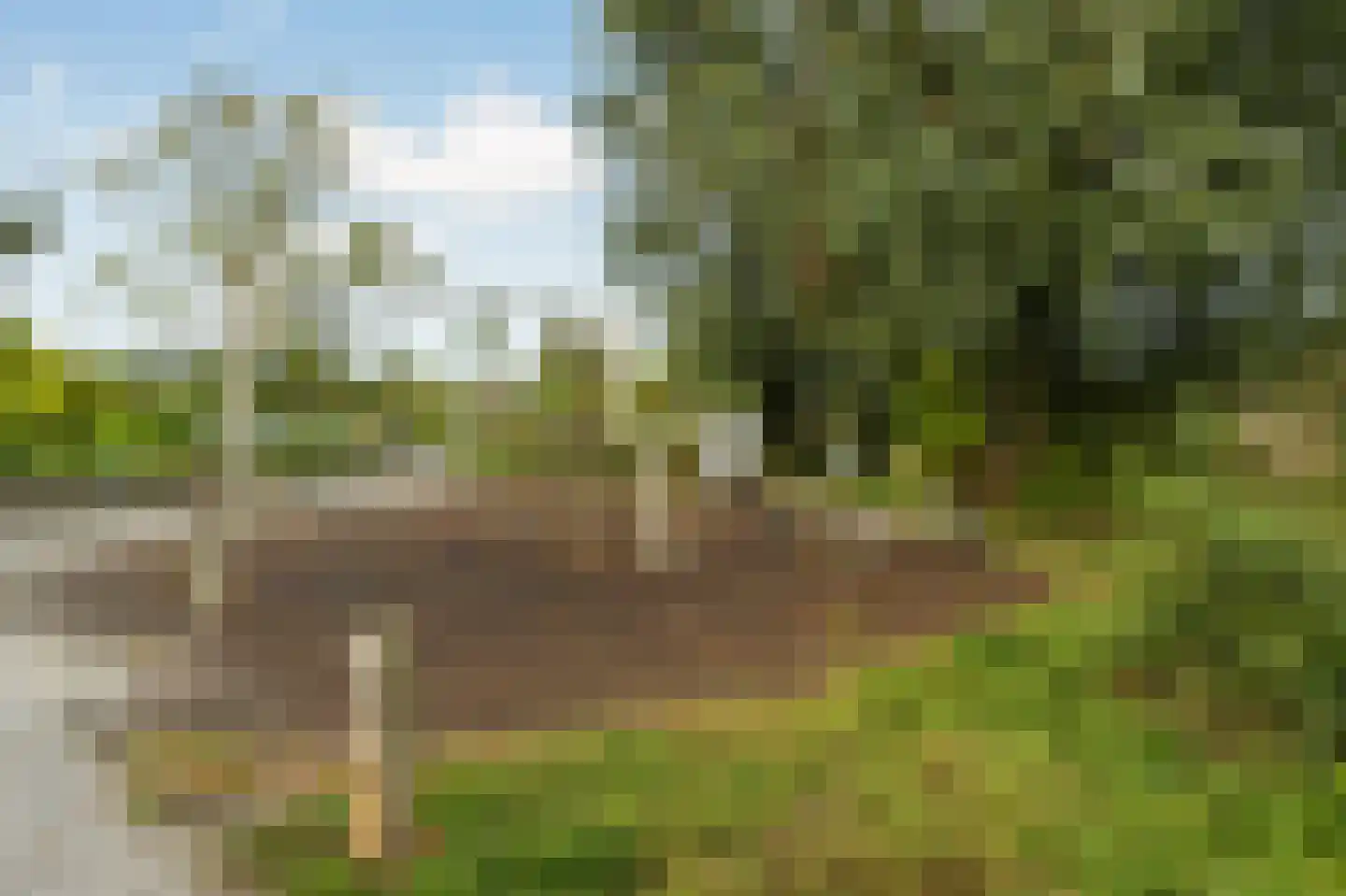Hoogenhoek 1 b Leerdam thumbnail 34