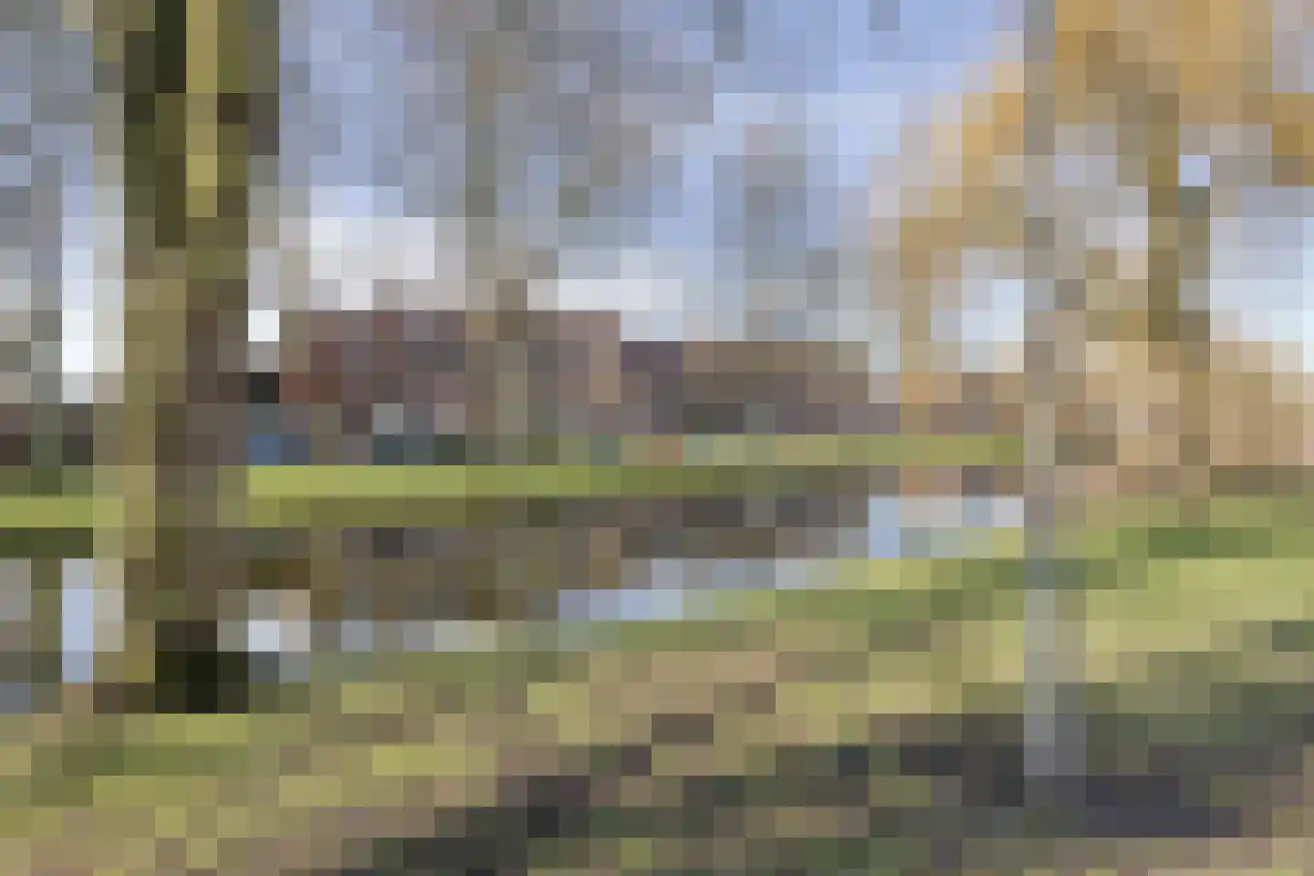 Hoogenwaardstraat 110 D Rotterdam thumbnail 29