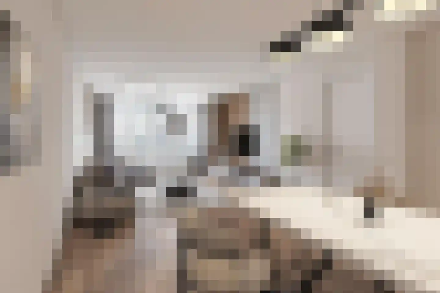 Hoogenwaardstraat 110 D Rotterdam thumbnail 7