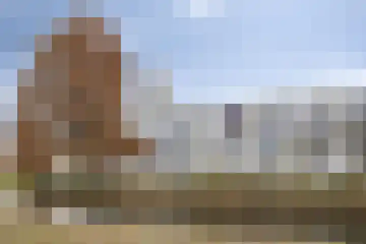 Hoogenwaardstraat 74 A in Rotterdam