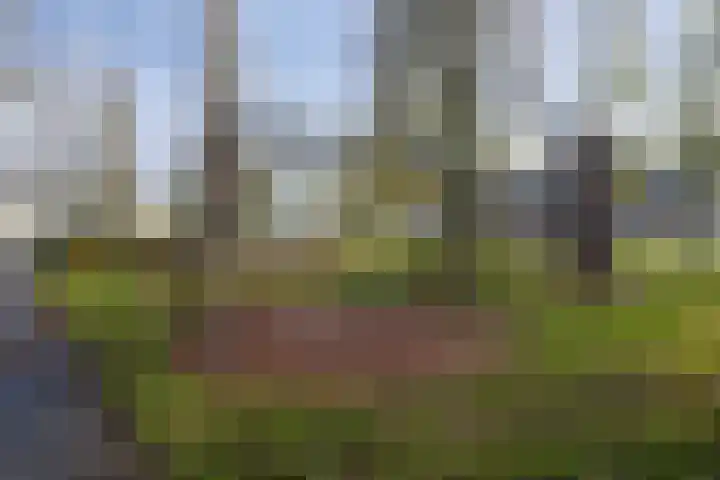 Hoogenwaardstraat 90 C Rotterdam thumbnail 28