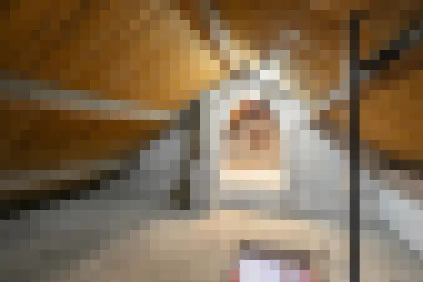 Hoogenweg 10 Stein thumbnail 21