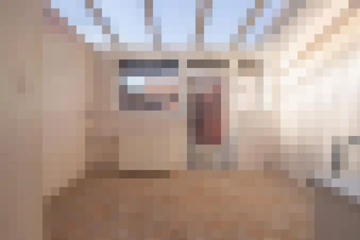 Hoogenweg 10 Stein thumbnail 22