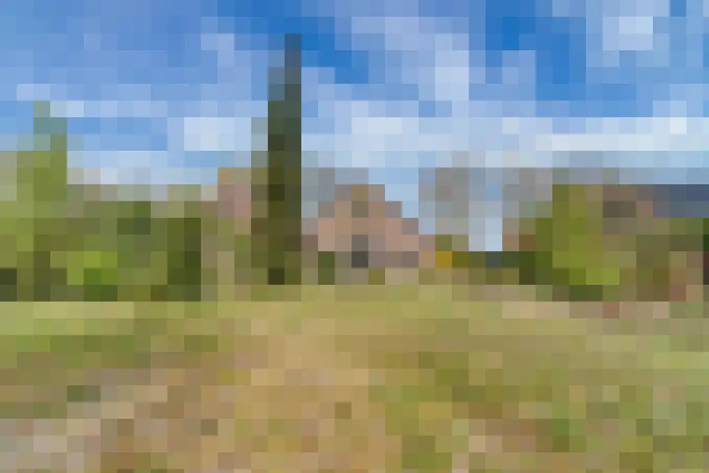 Hoogenweg 39 Hoogenweg thumbnail 8