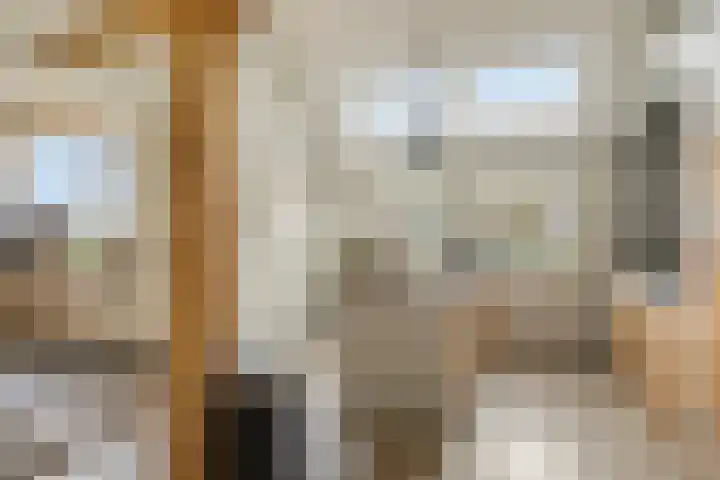 Hoogenweg 60 Venebrugge thumbnail 18
