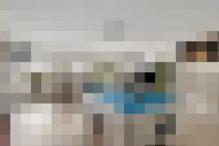 Hoogenweg 60 Venebrugge thumbnail 33