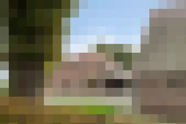 Hoogenweg 60 Venebrugge thumbnail 60