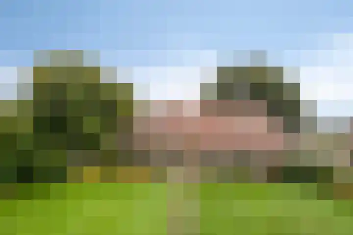 Hoogenweg 60 Venebrugge thumbnail 63