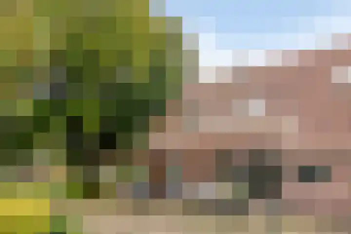 Hoogenweg 60 Venebrugge thumbnail 65