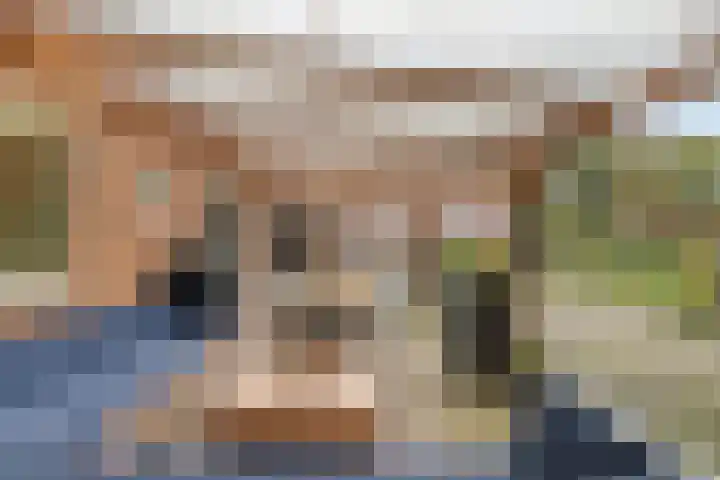 Hoogenweg 60 Venebrugge thumbnail 69
