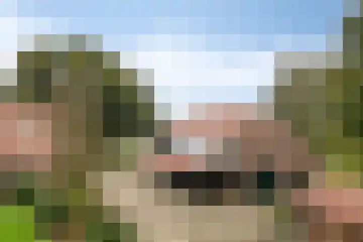 Hoogenweg 60 Venebrugge thumbnail 73